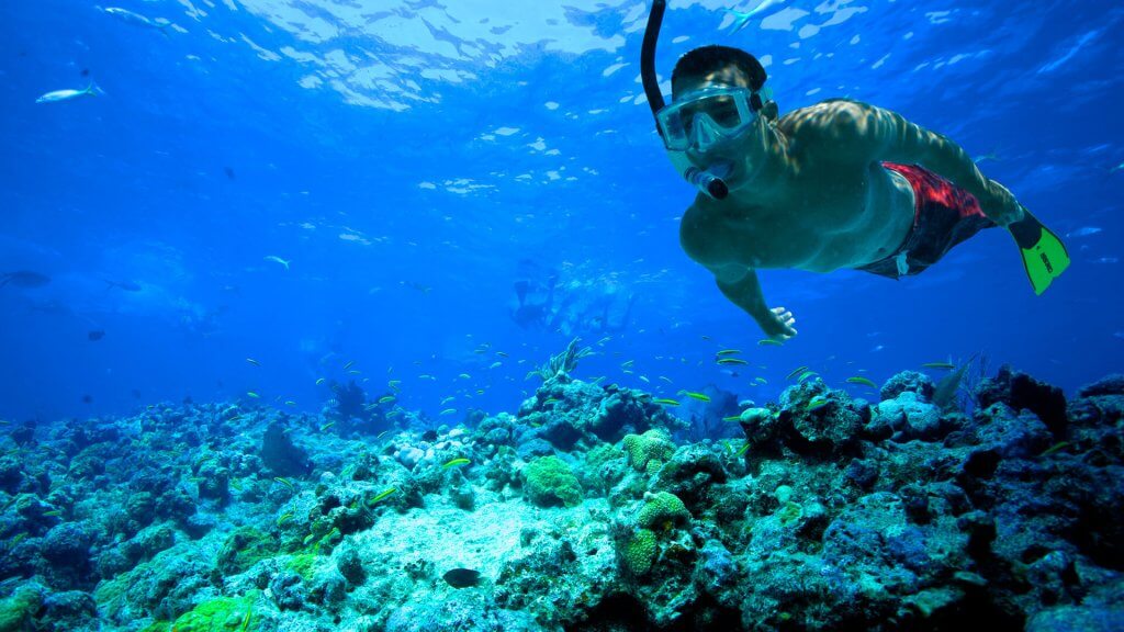 Snorkeling in the Algarve